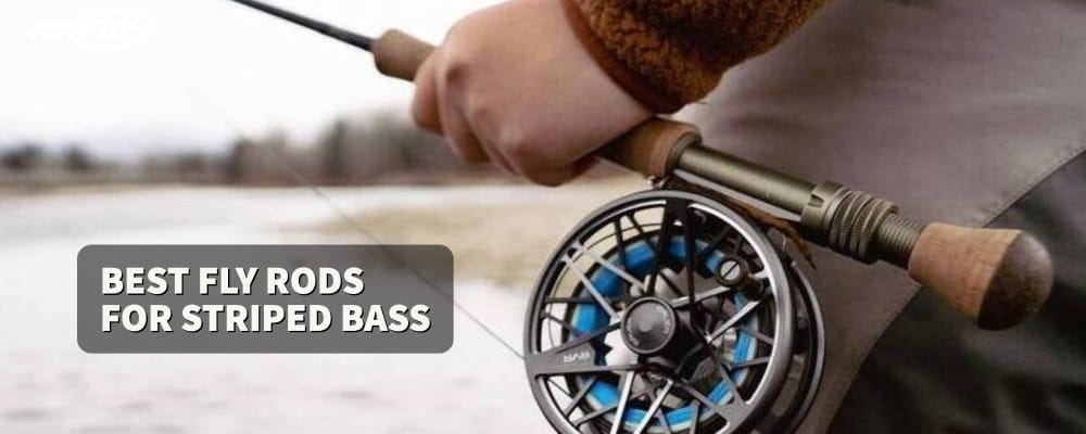 Best Fly Rods for Striped Bass - ReelFlyRod