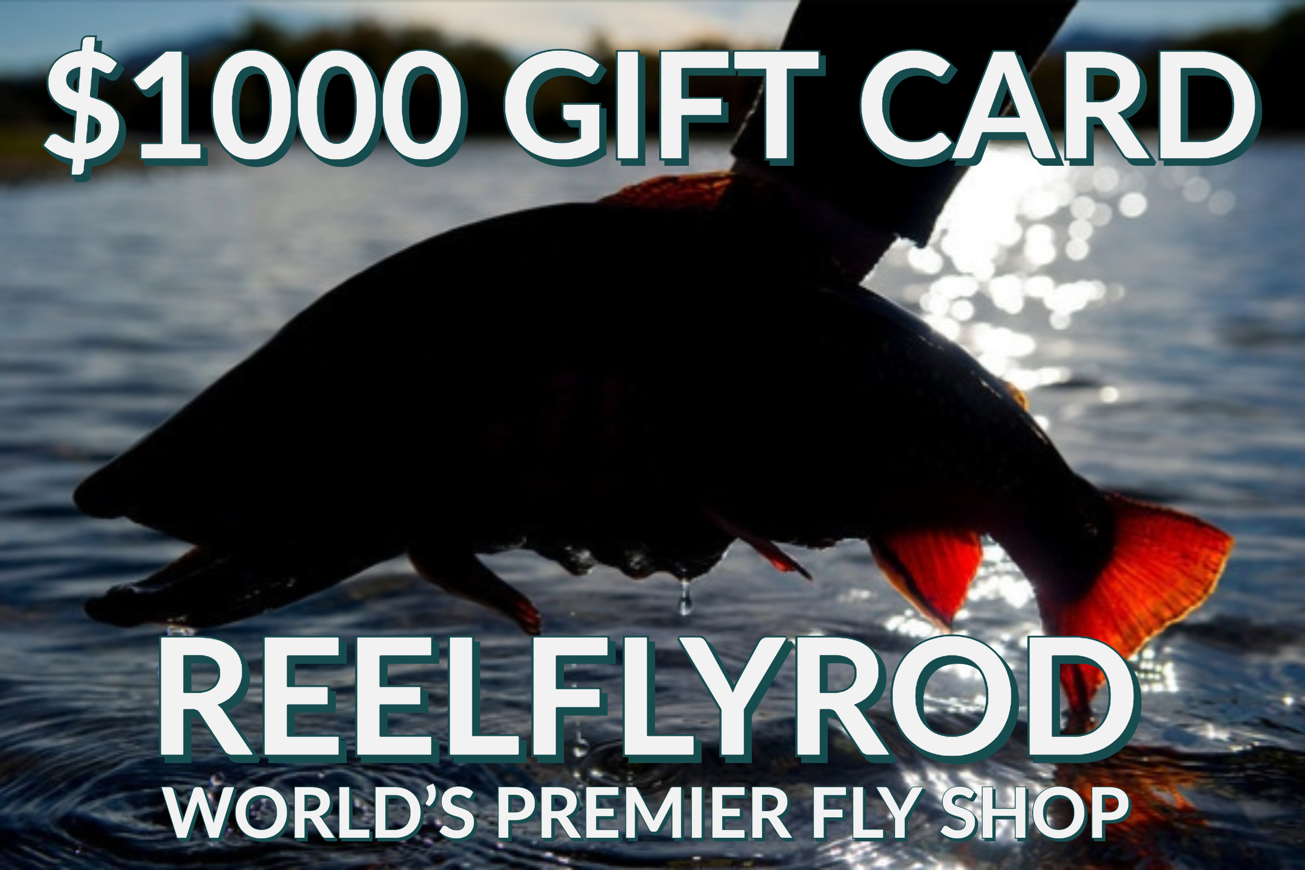 Reelflyrod Gift Cards Fly Fishing Gifts